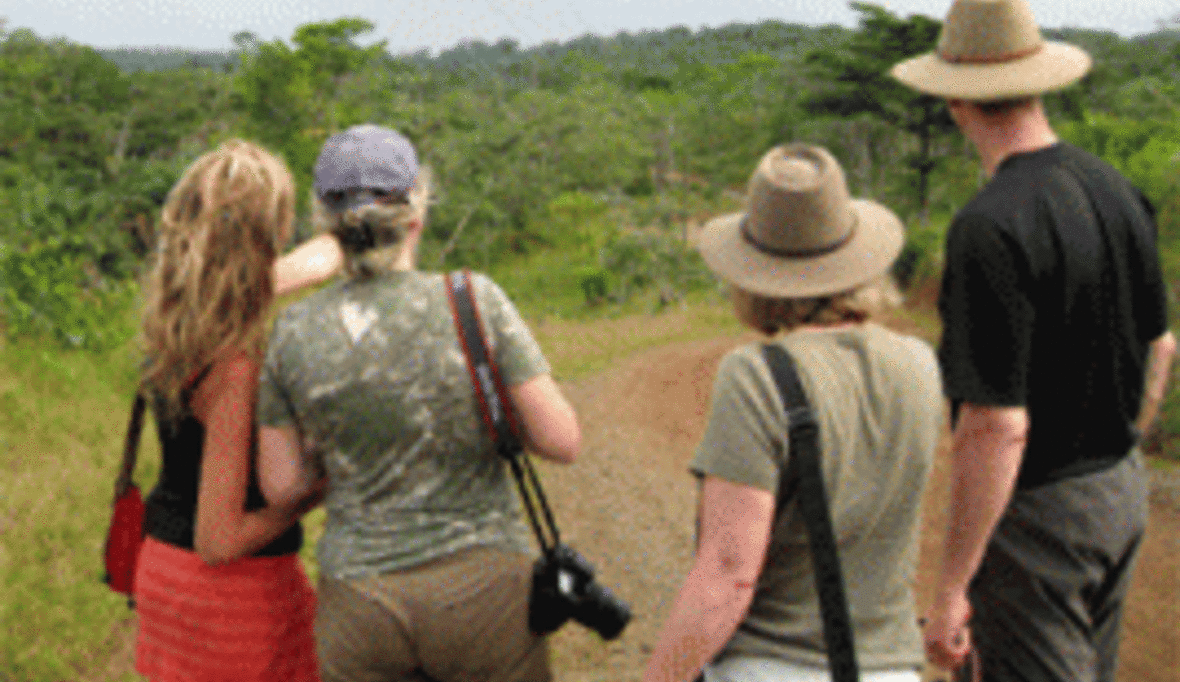 Nachhaltiges Reisen lockt immer mehr Urlauber - Rainforest Alliance mit neuem Netzwerk