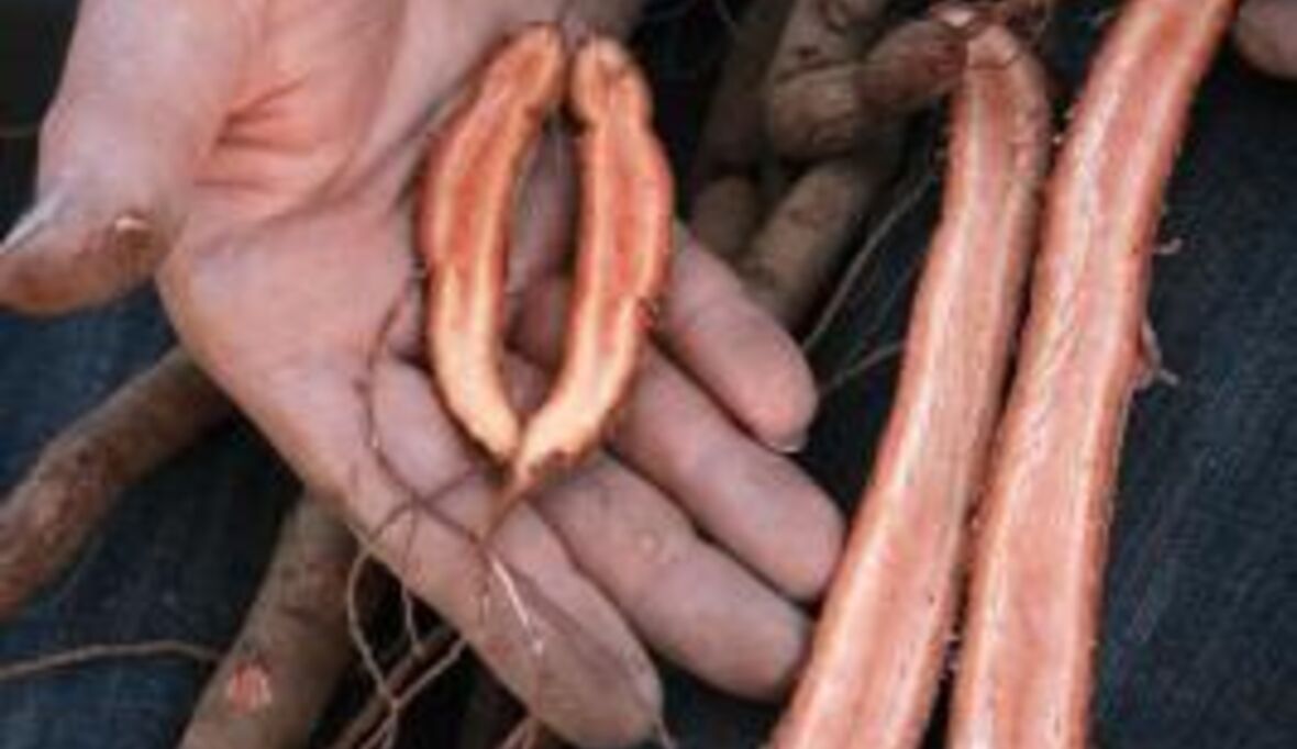 Erstmals Vertrag über faire Nutzung von Natur-Rohstoffen