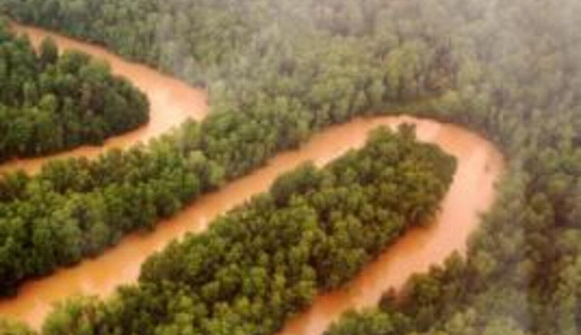 Rettet den Regenwald attackiert Allianz-Konzern