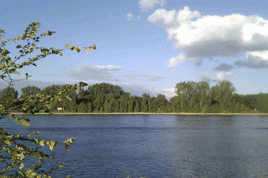 Der Rhein. Foto: bebal/flickr.com