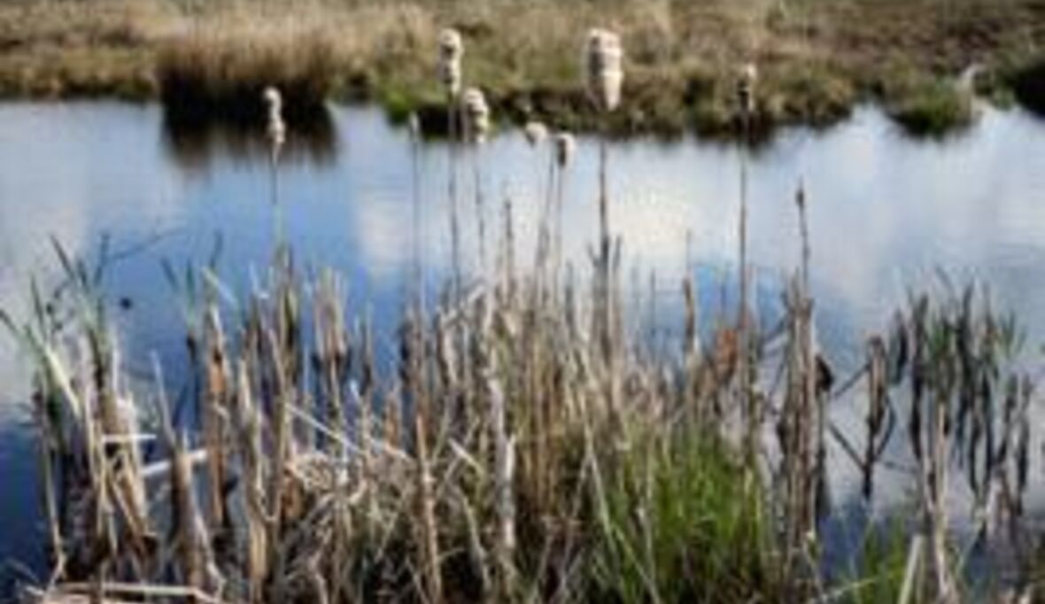 2010 wird entscheidend für den Artenschutz