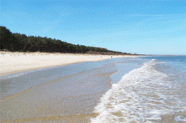 Strand auf Usedom. Foto: backkratze/flickr.com