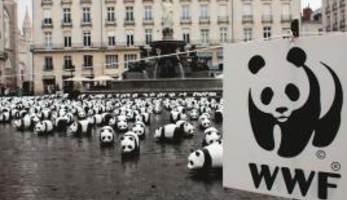 Gratulation! WWF feiert 50-jähriges Bestehen
