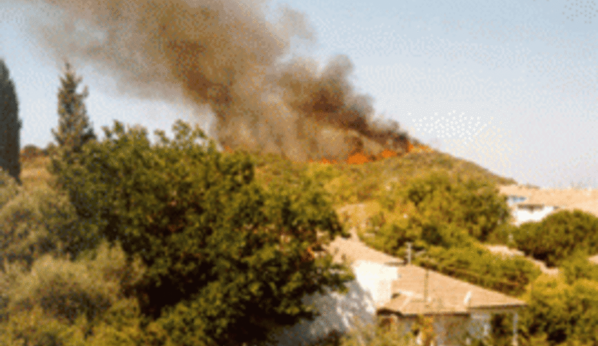 Waldbrände mit Ansage - WWF legt Waldbrandbestandsaufnahme vor