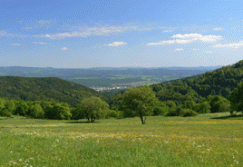 Foto: abejorro34, flickr.com