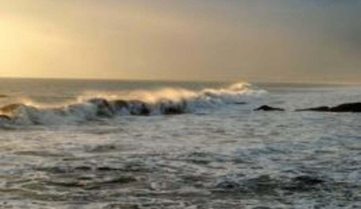 Waschmaschinen schleudern Plastik ins Meer