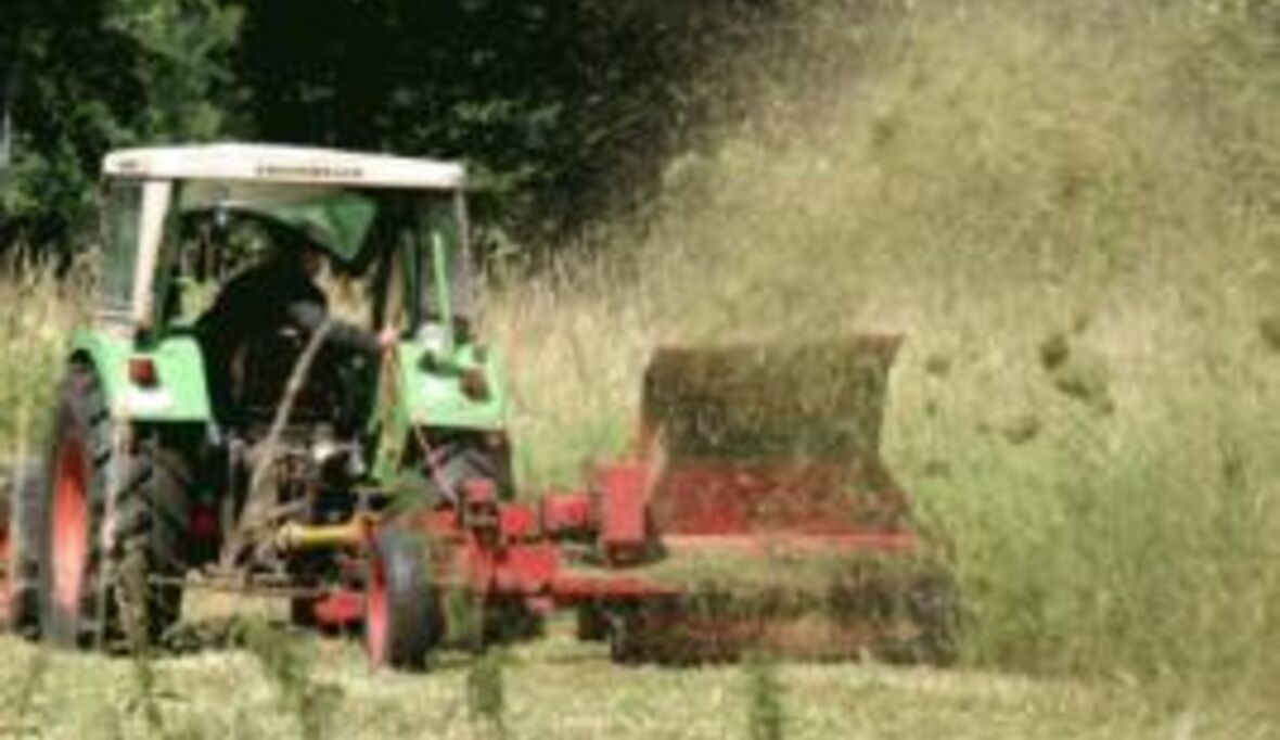 EU Agrarreform: NGOs und Lobbyisten unisono aufgebracht