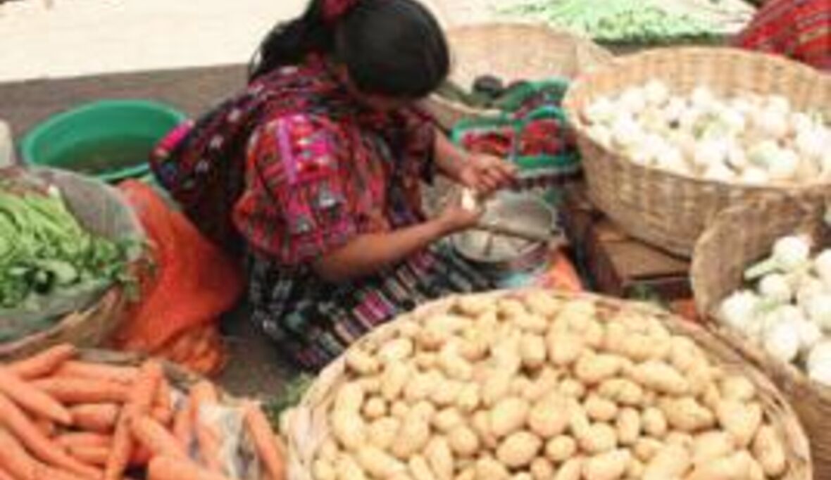 Kleinbauern machen satt und schützen Umwelt