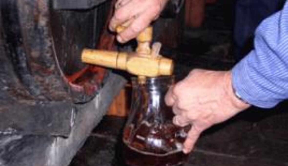 Nachhaltige Weinproduktion