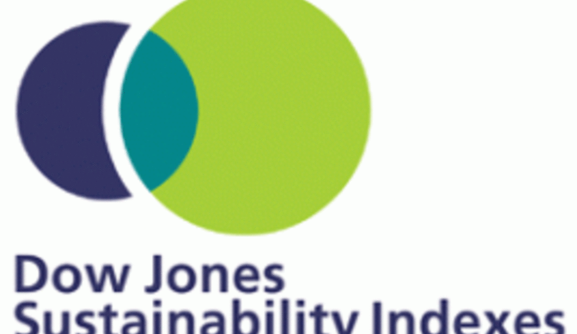 Dow Jones Sustainability Index 2012: Die Ergebnisse