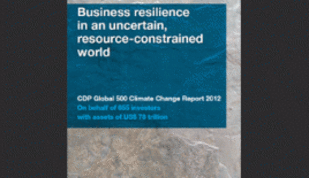 Spitzenreiter des Carbon Disclosure Rankings 2012