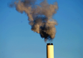 In 2009 gingen die Treibhausgasemissionen stark zurück. Foto: Marion Book
