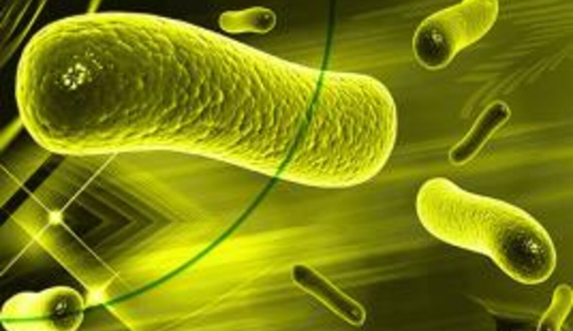 Erdgasproduktion aus CO2 und Wasserstoff marktreif