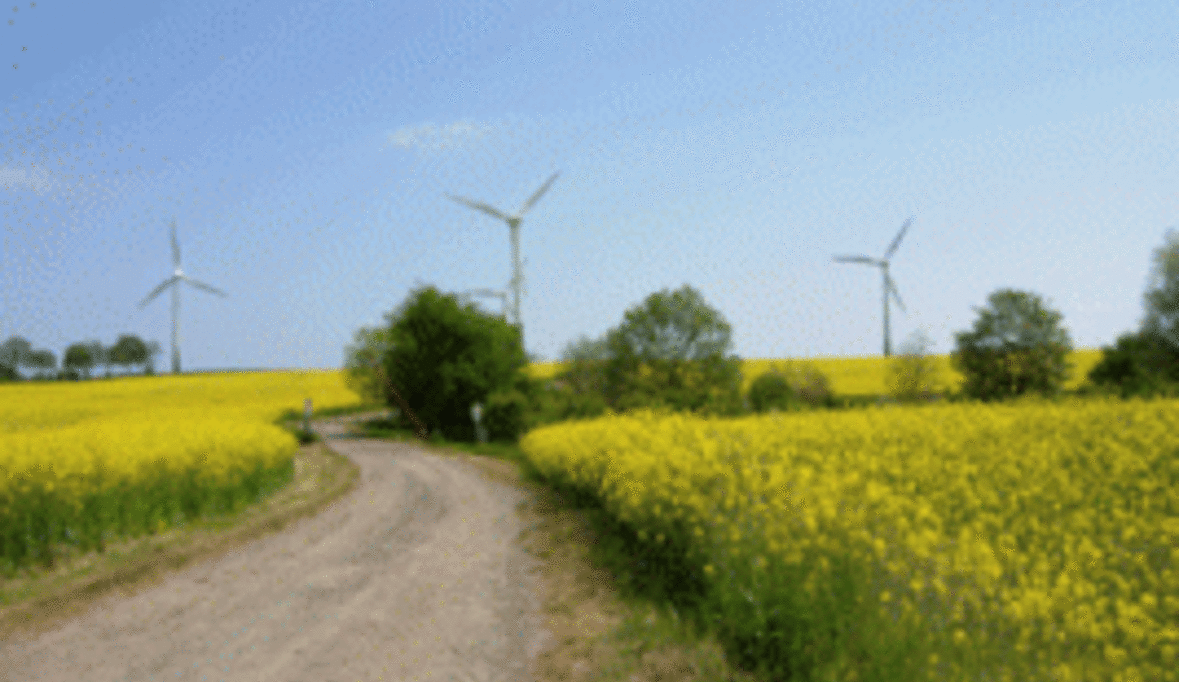 Platzeck fordert mehr Genossenschaften bei Energiewende