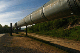 Foto: rickz/flickr.com