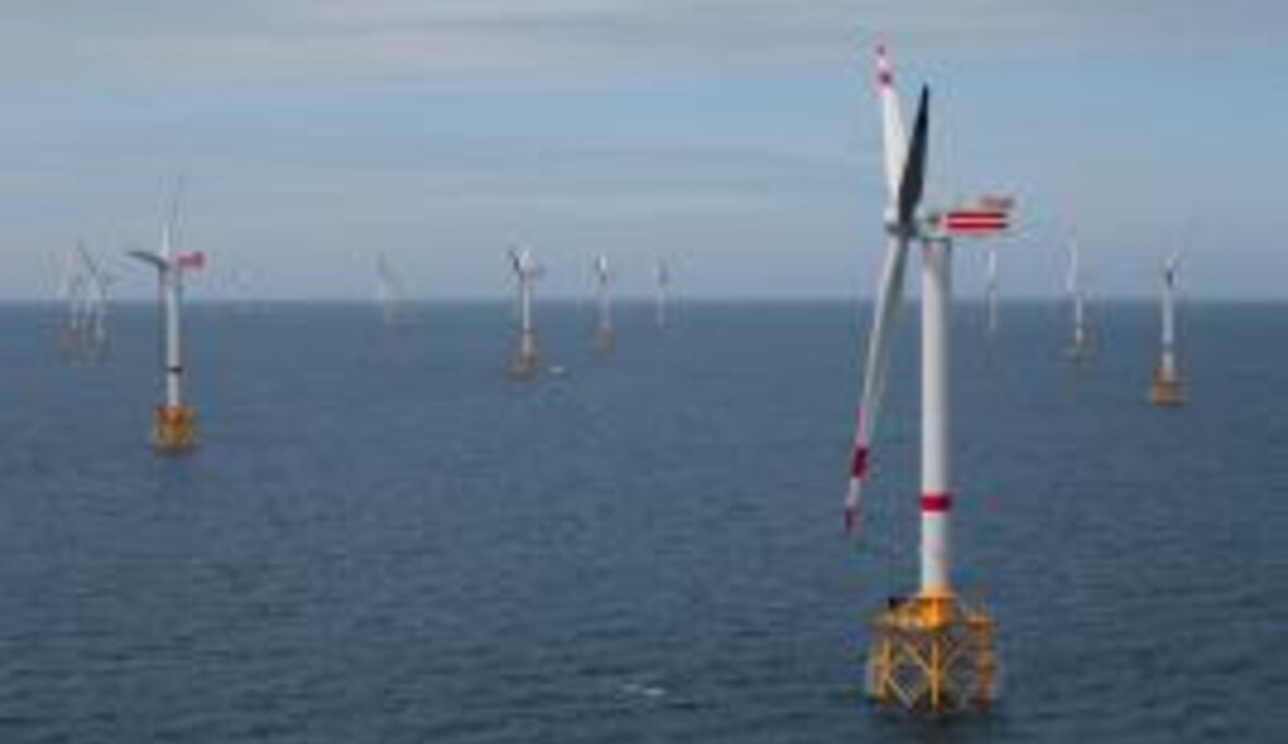 Offshore-Windpark Thornton Bank offiziell eingeweiht