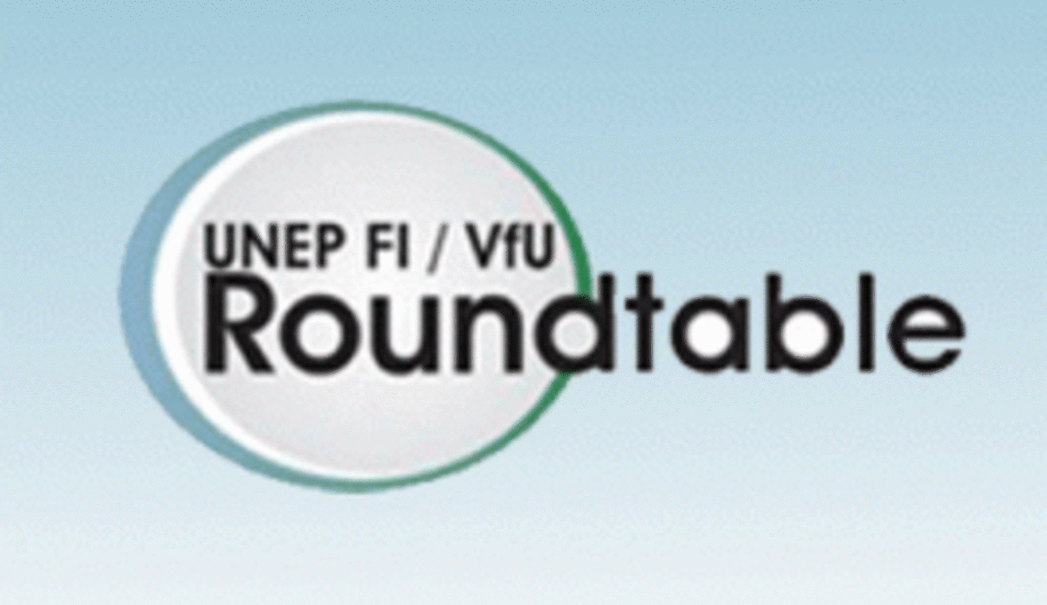 Ankündigung: UNEP FI-VfU Roundtable 2011