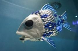 Roboterfisch sucht nach Verunreinigungen, Foto: roboshoal.com