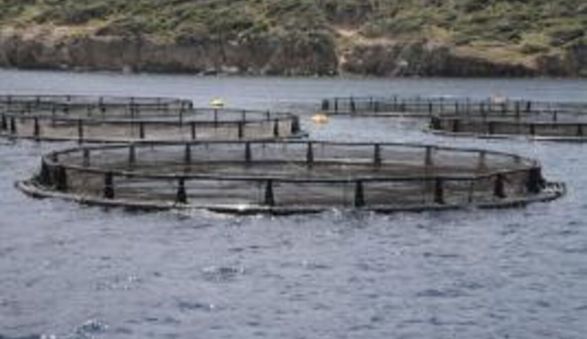 Sensoren sichern Wasserqualität