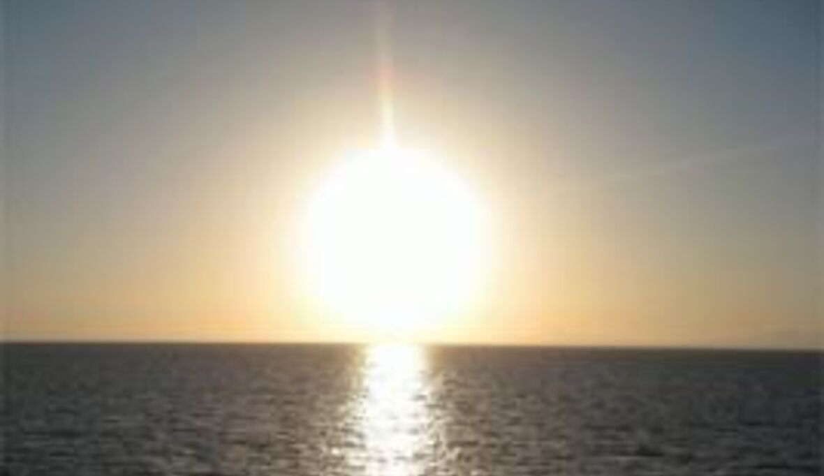 „Nanobäumchen" verbilligen Wasserstoff-Gewinnung