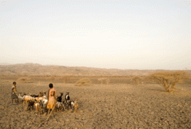 Dürre in Äthiopien. Foto: Nick Danziger/Oxfam
