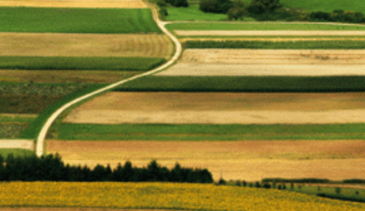 Flächenbedarf für Bioethanolerzeugung ist vergleichsweise gering