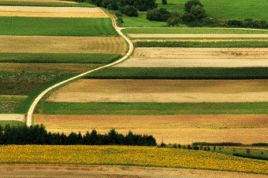 Foto: Oliver Mohr/pixelio.de