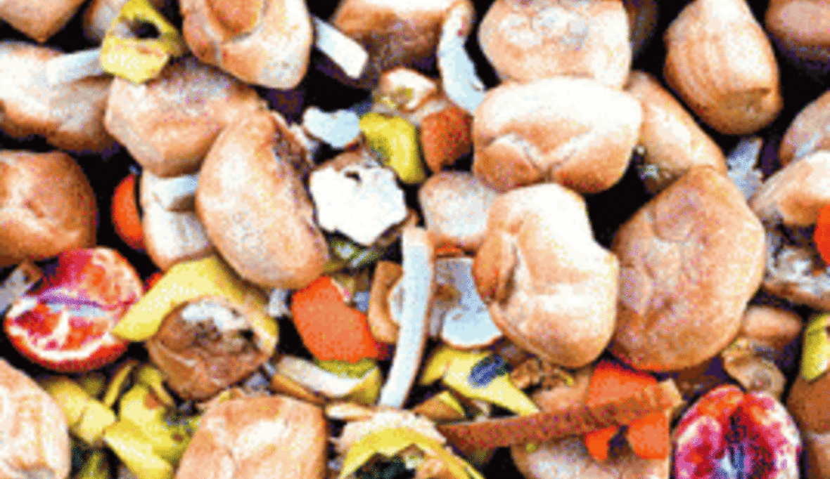 Appell für globale Maßnahmen zur Verringerung von Lebensmittelabfällen