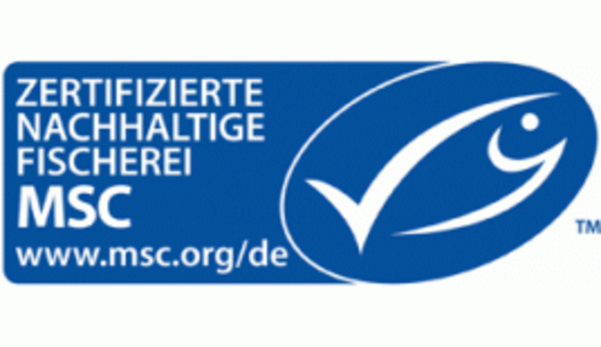 MSC-Programm leistet Beitrag für gesunde Weltmeere