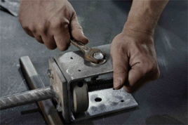 Foto: Siemens Stiftung