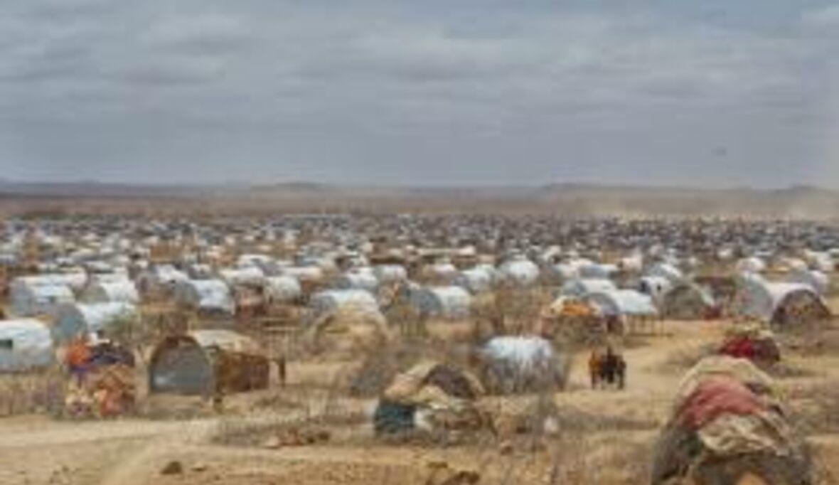 Neue Studie zu europäischer Flüchtlings- und Migrationspolitik