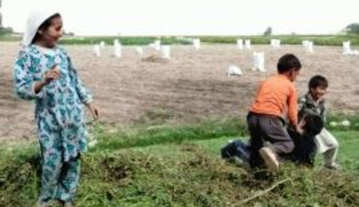 Dürre-Felder dank neuer Wasserleitung wieder fruchtbar