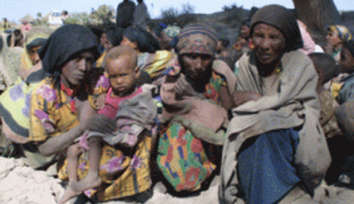 Forschung gegen Hunger und Fehlernährung in der Welt