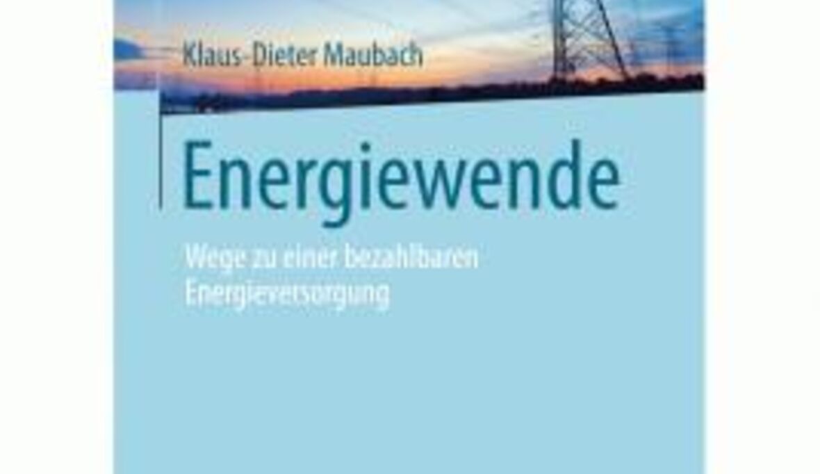 Energiewende: Deutschland kann sich Ökostrom leisten
