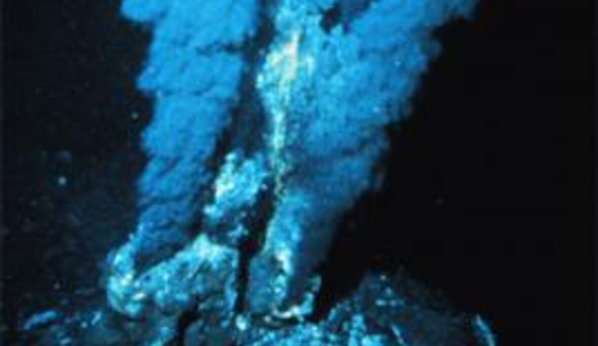 Tiefsee durch Klimawandel bedroht