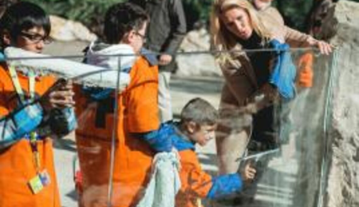 Schule statt ausbeuterische Kinderarbeit in Äthiopien 