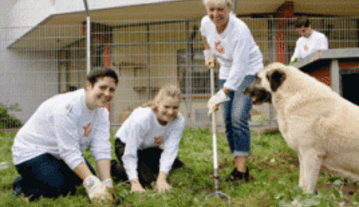 „DPD Helfertage“: Mitarbeiter packen mit an