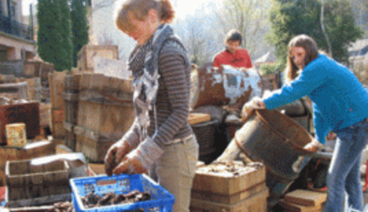 Verbreitung der „Nachhaltigen Schülerfirmen“