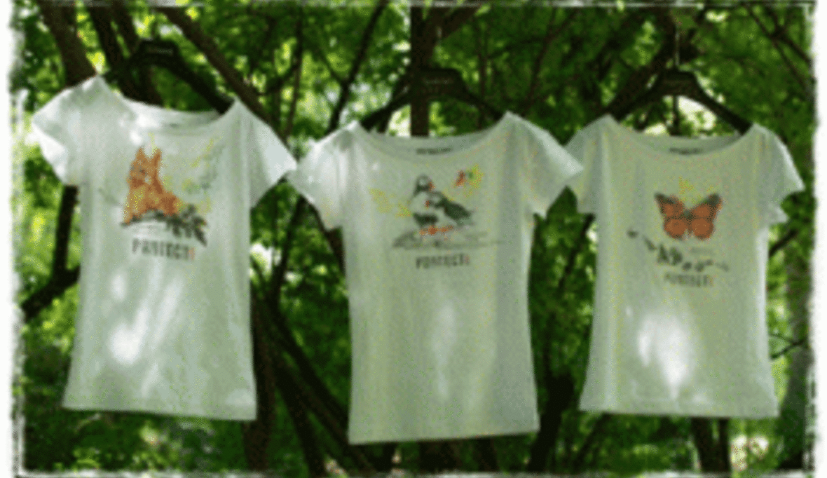 Wachsendes Interesse an “Cotton made in Africa