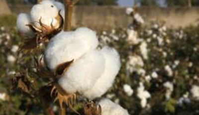 NABU fordert verlässliches Siegel für Textilien