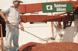 Unternehmen setzen verstärkt auf Einsatz nachhaltiger Rohstoffe, Foto: Rainforest Alliance