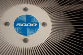 Foto: alamosbasement, Flickr.com