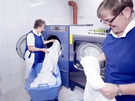 Optimieren des Energieverbrauchs in Wäsche und Küche, Foto: Miele