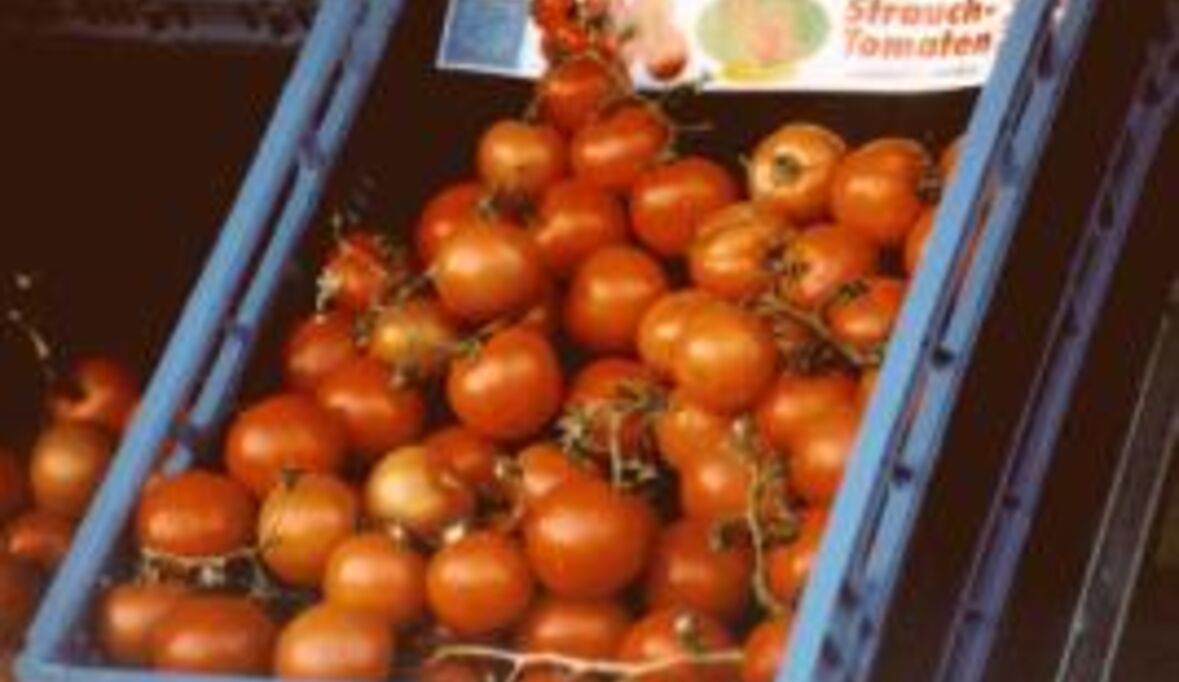 Küchenchefs lieben Bio