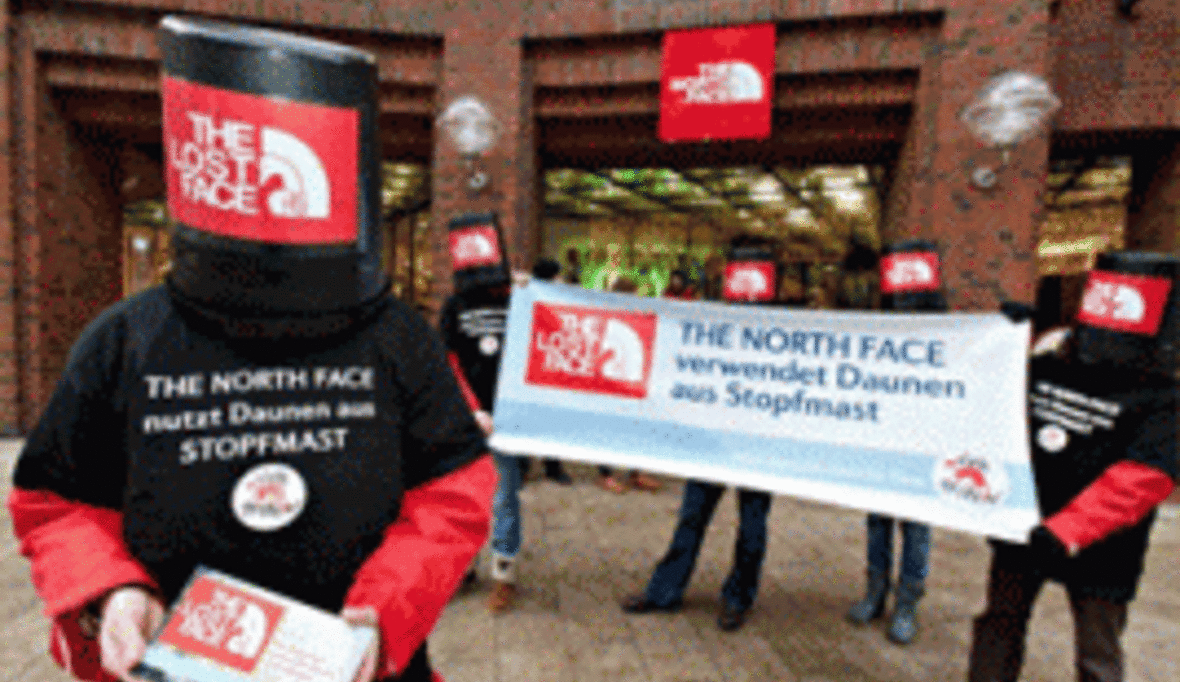 The North Face = The Lost Face