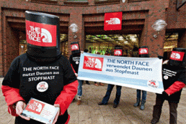 VIER PFOTEN "Lost Face-Aktion" in Hamburg. Foto: VIER PFOTEN