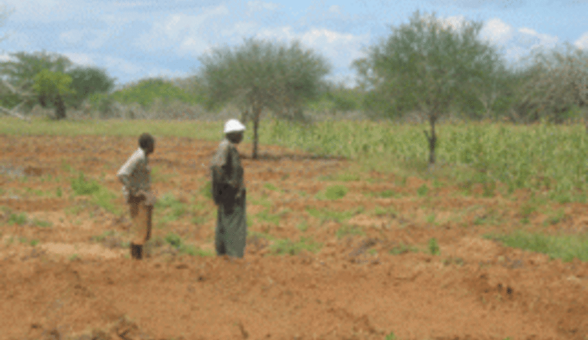 World Vision setzt auf Vorbeugung gegen Hungersnöte