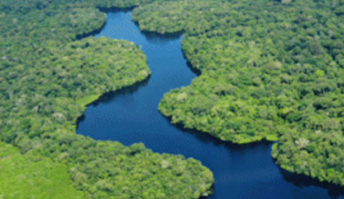 Entscheidung vertagt: Waldgesetz spaltet brasilianische Regierung