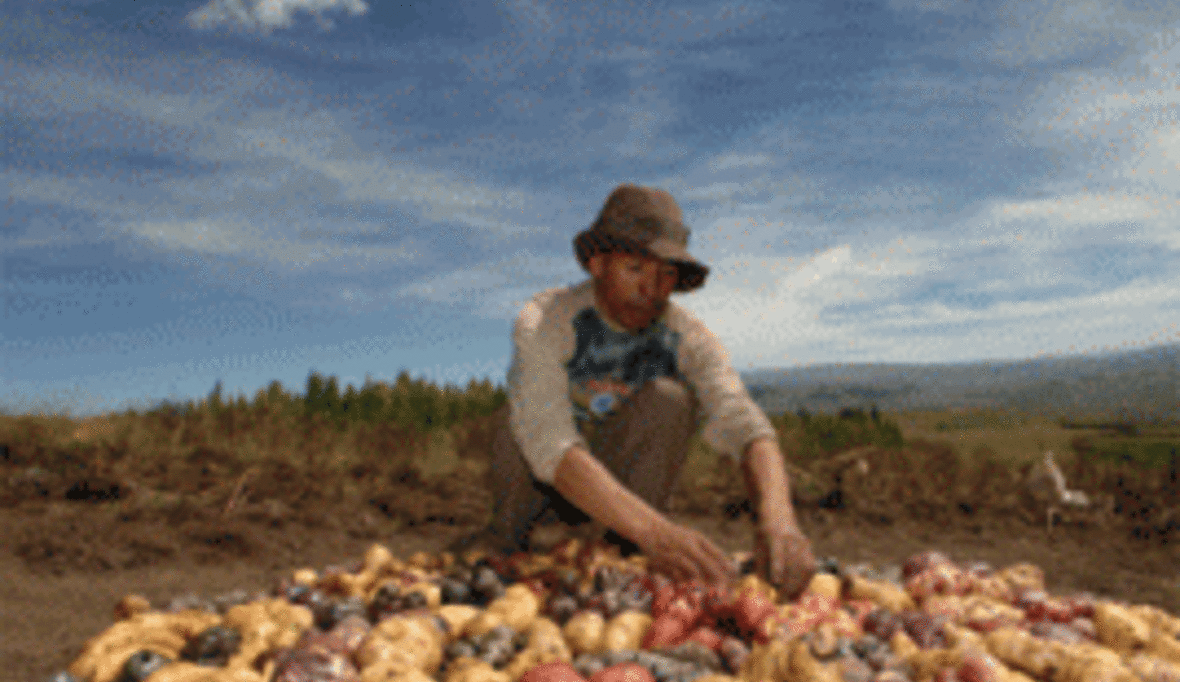 Einfluss von Unternehmen auf Hungerbekämpfung wächst rasant