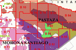 Kartenausschnitt: Gebiete der indigenen Bevölkerung im Regenwald. Foto: Stiftung AMAZONICA